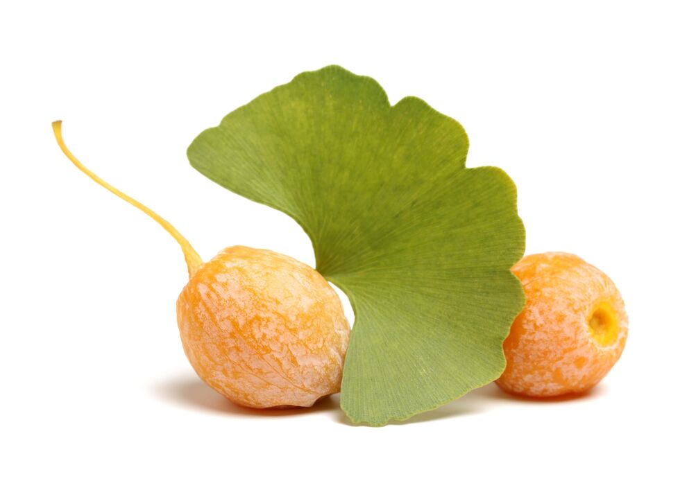 Erectil'de Ginkgo Biloba