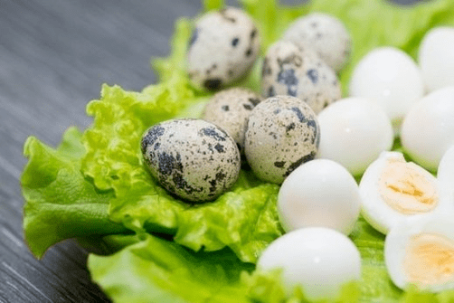 iktidar için bıldırcın yumurtası